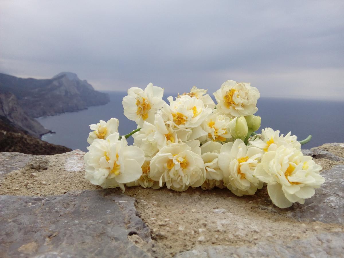 Olympos Archipelagos Buitenkant foto
